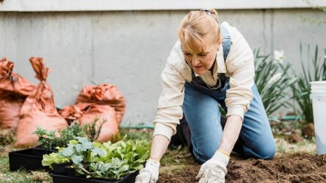gardening for weight loss