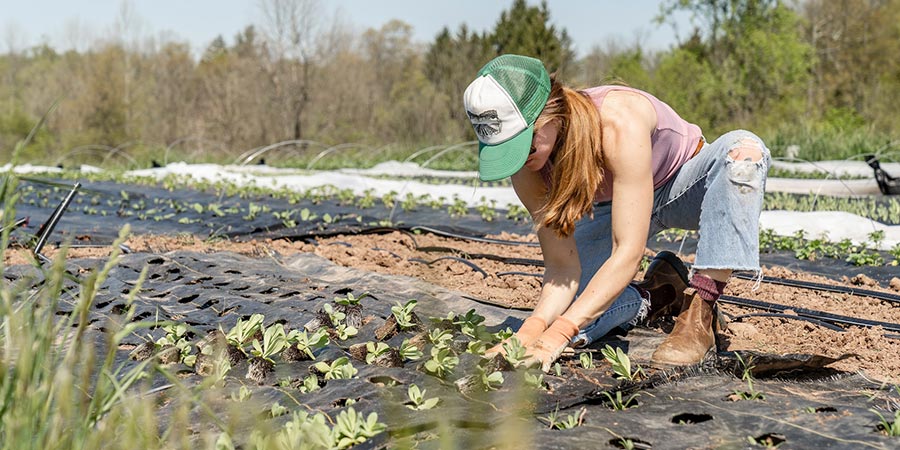 a woman wearing green white cap sleeveless pink top and blue denim jeans cultivating plants in a field